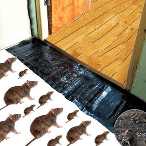 Mouse Rat Trap Sheet