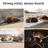 Mouse Rat Trap Sheet