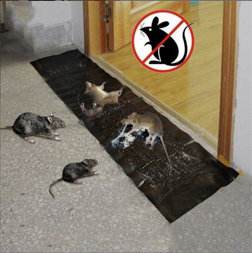 Mouse Rat Trap Sheet
