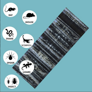 Mouse Rat Trap Sheet