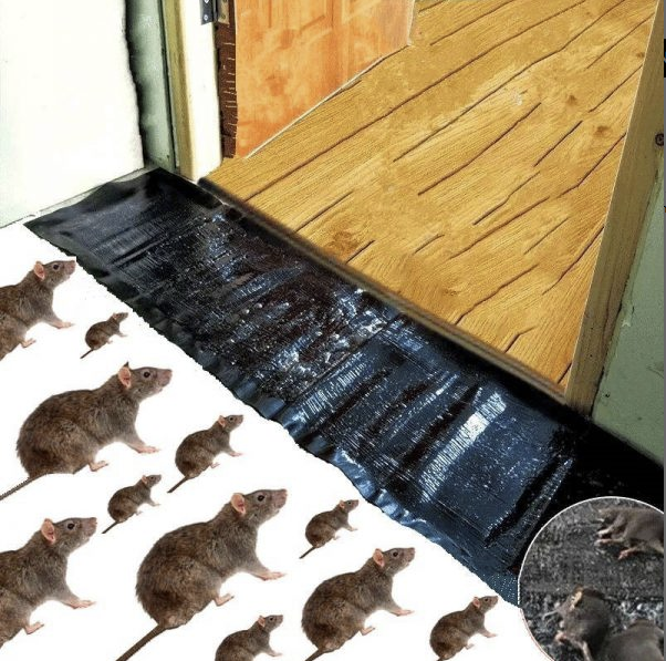 Mouse Rat Trap Sheet